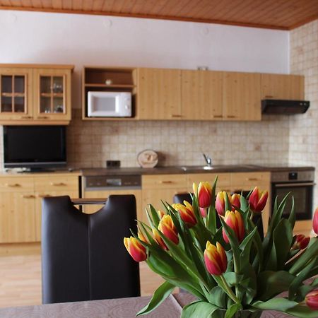 Ferienwohnungen Aigner Haus im Ennstal Exterior foto