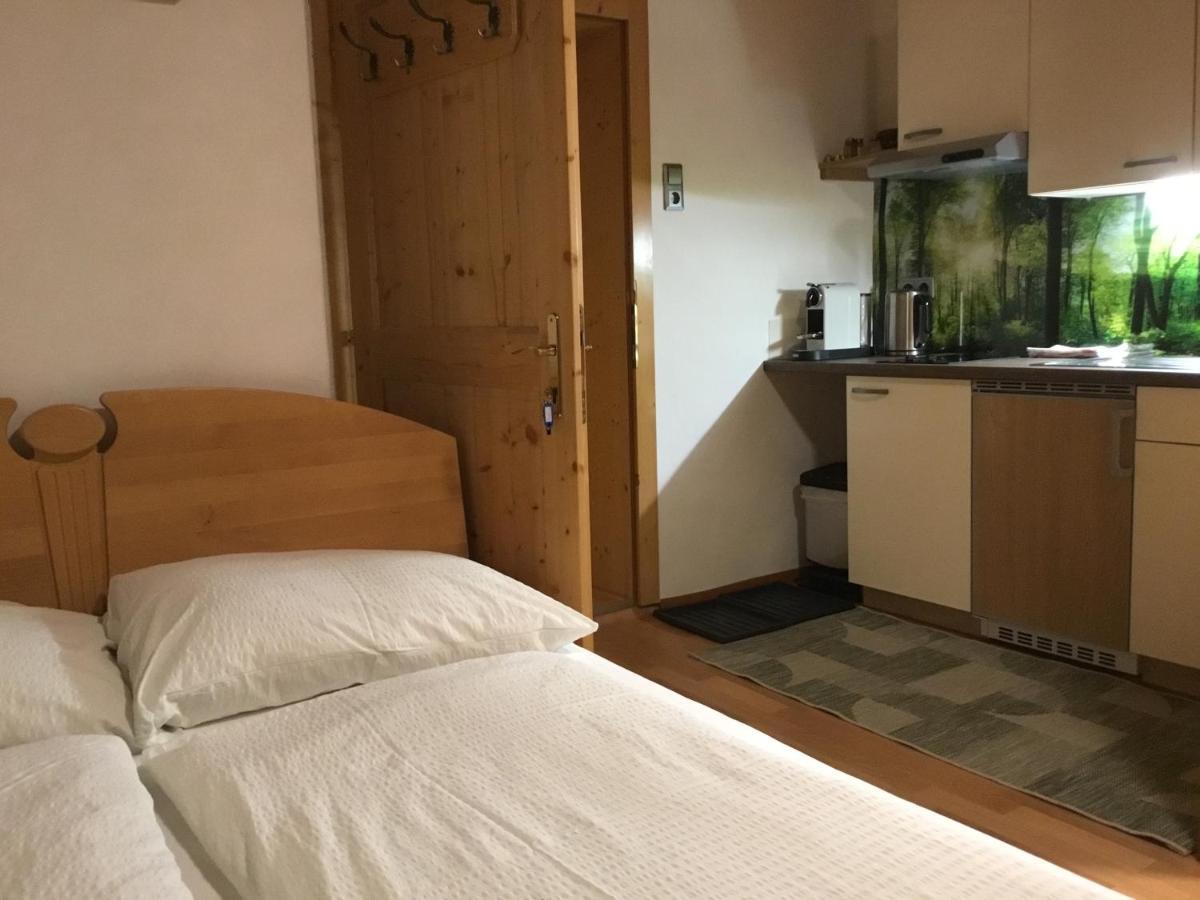 Ferienwohnungen Aigner Haus im Ennstal Exterior foto